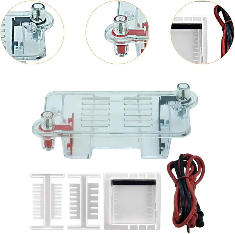 Luwecf Electrophoresis Apparatus Tank Teaching Equipment,Biology Experimental Equipment Learning for High School - Image 2